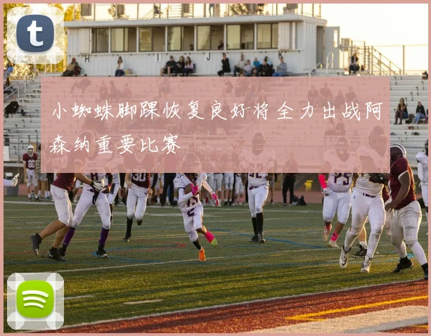 小蜘蛛脚踝恢复良好将全力出战阿森纳重要比赛