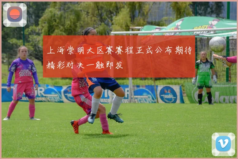 上海崇明大区赛赛程正式公布期待精彩对决一触即发