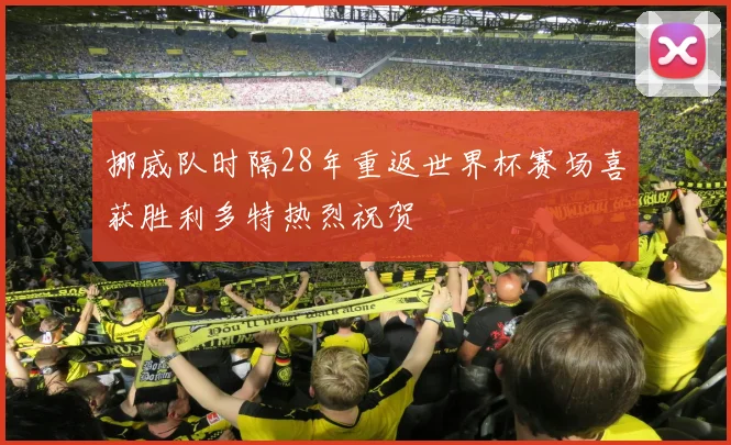 挪威队时隔28年重返世界杯赛场喜获胜利多特热烈祝贺
