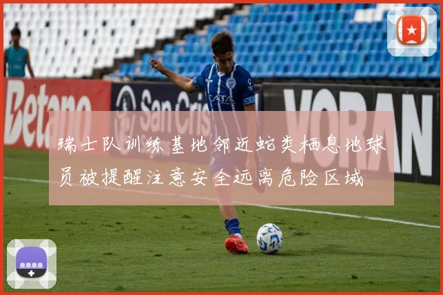 瑞士队训练基地邻近蛇类栖息地球员被提醒注意安全远离危险区域