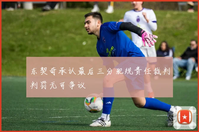 东契奇承认最后三分犯规责任裁判判罚无可争议